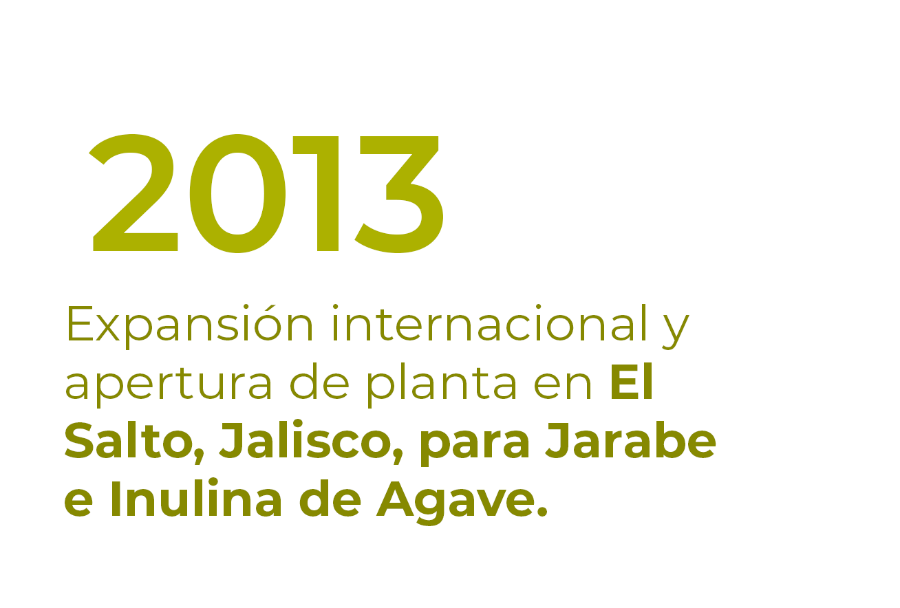 Mesa de trabajo 1 copia 2