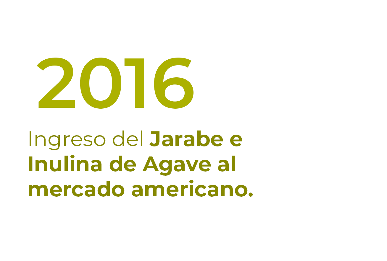 Mesa de trabajo 1 copia 3