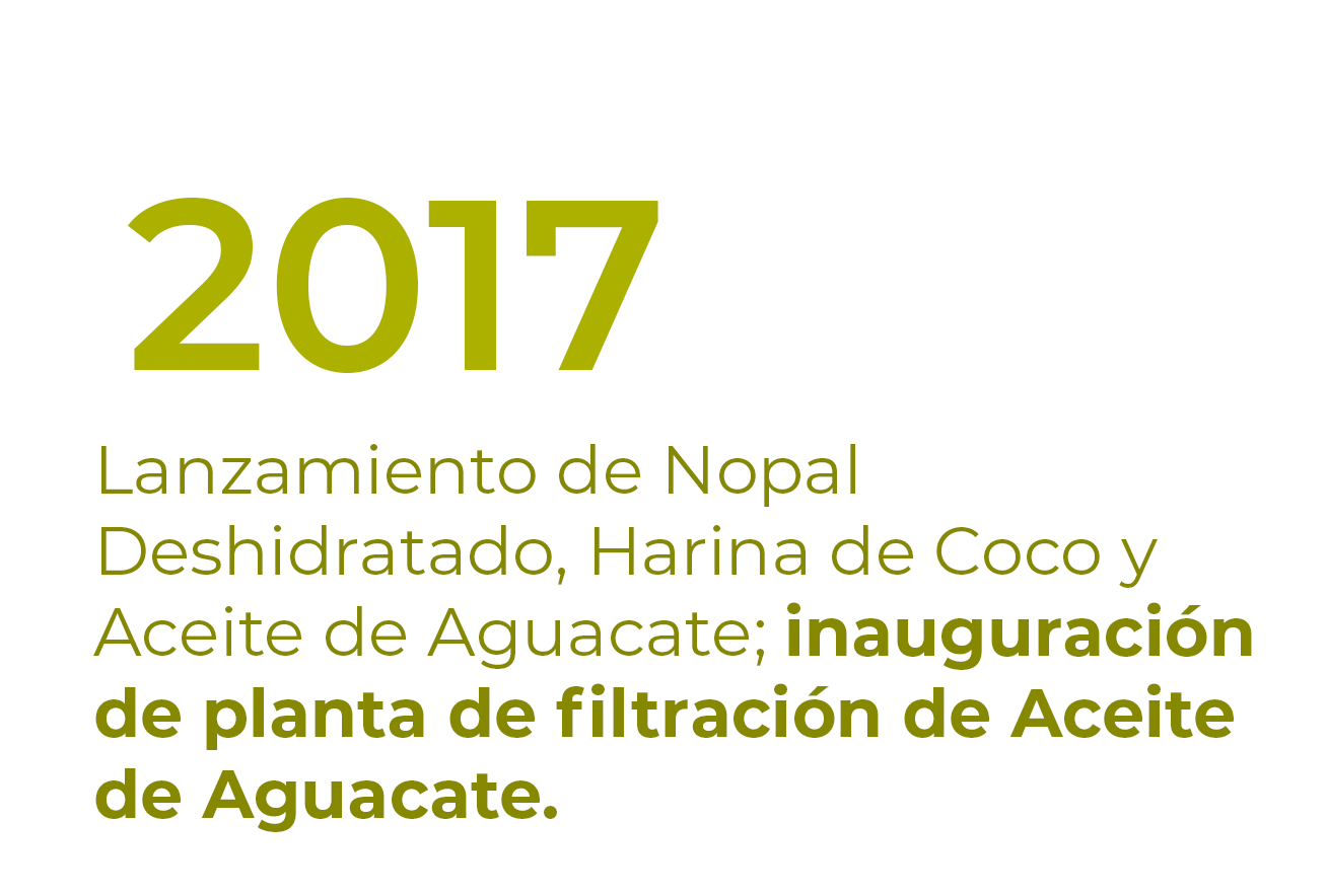 Mesa de trabajo 1 copia 4