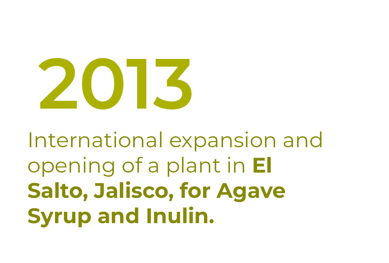 2013_nbf-en-completa