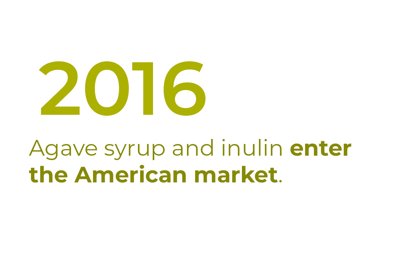 2016_nbf-en-completa