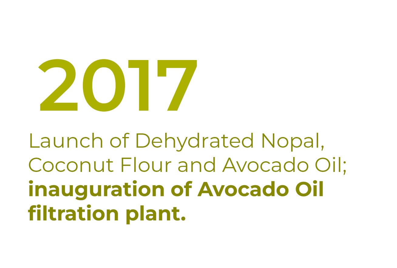 2017_nbf-en-completa